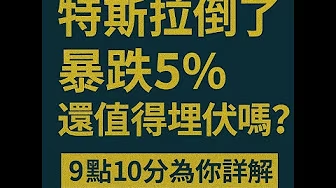 特斯拉暴跌5%